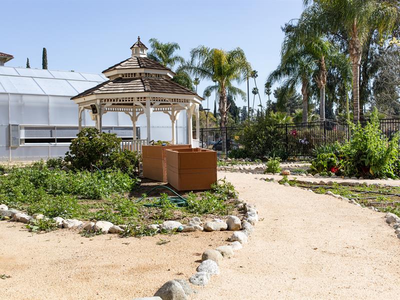 Riverside City College - Greenhouse Project