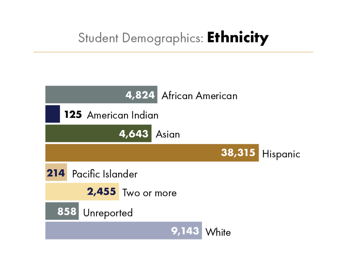Student Ethnicity Demographics 2022-23